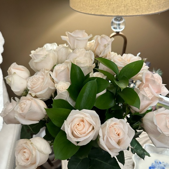 Meet your Posher, Ra - Picture 1 of 1